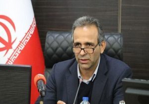 مدیرعامل شرکت سرمایه‌گذاری صدر تامین